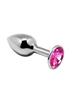 Adrien Lastic Metal Anal Plug Small Pink